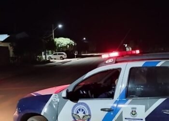 Guarda Civil Municipal divulga balanço das atividades desenvolvidas no último final de semana