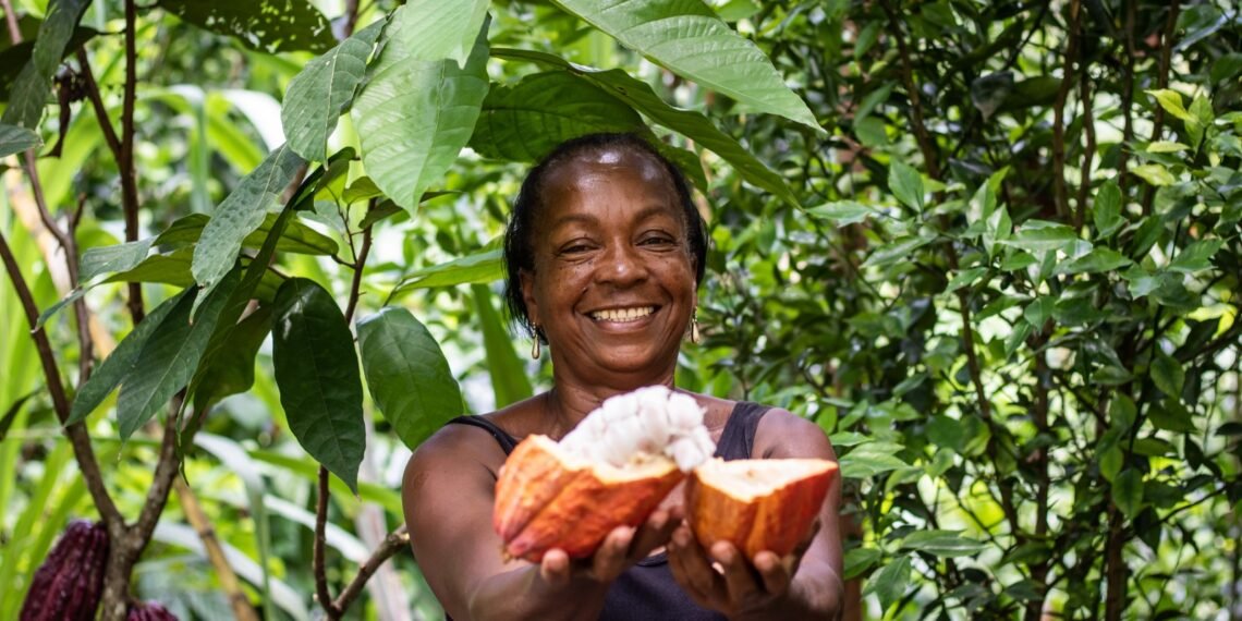 Novo projeto da CAR vai fortalecer a preservação da Mata Atlântica na Bahia