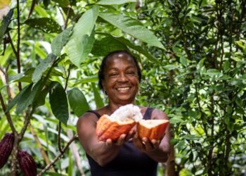 Novo projeto da CAR vai fortalecer a preservação da Mata Atlântica na Bahia