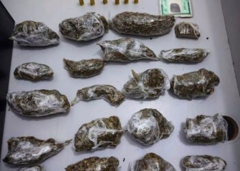 84ª CIPM apreende drogas no Conjunto Habitacional São Francisco em Barreiras