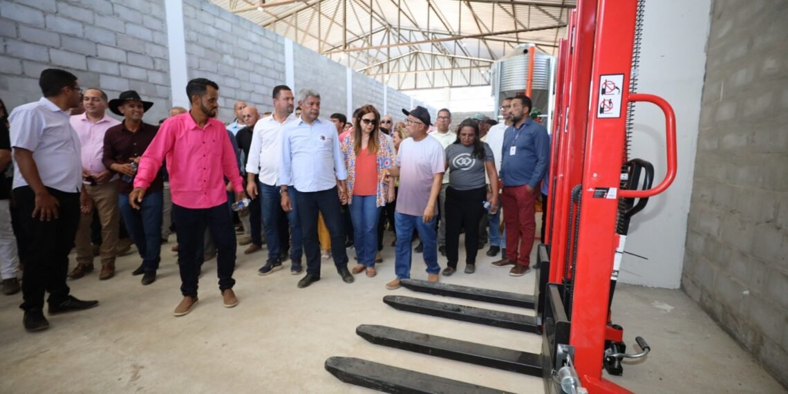 Governo realiza entregas para produtores de ovinos e caprinos de Oliveira dos Brejinhos