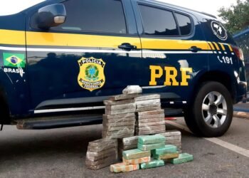 Homem é preso transportando maconha e cocaína dentro de ônibus na BR 116