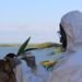 Em ação conjunta com outros estados, Bahia decreta emergência zoossanitária para influenza aviária H5N1
