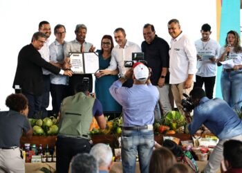 Governo do Estado e Conab assinam acordo de cooperação para consolidar PAA e PNAE nos territórios