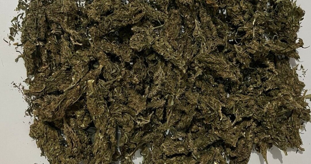 28° CIPM apreende entorpecentes no município de Paratinga