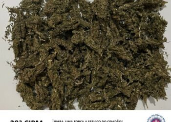 28° CIPM apreende entorpecentes no município de Paratinga