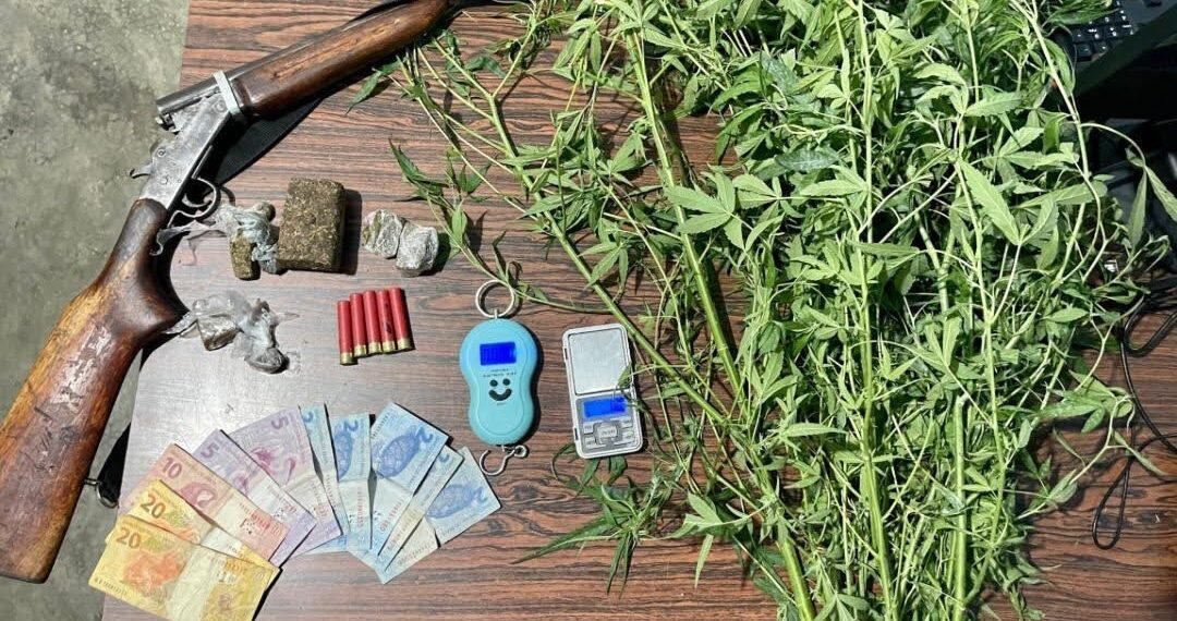 86ª CIPM erradica plantação caseira de maconha, apreende arma de fogo e prende indivíduos em flagrante