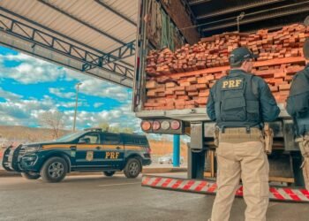 Operação “Rotas da Madeira do Brasil – ETAPA III/BA” combate transporte ilegal de produtos florestais na BR 242 em Barreiras (BA)