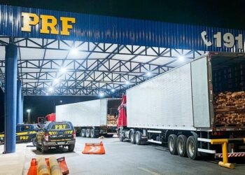 PRF apreende madeira irregular durante etapa da Operação Rotas da Madeira