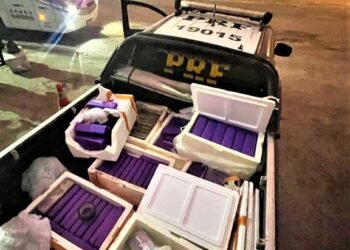 Maconha e cocaína despachadas como encomenda são apreendidas em Feira de Santana (BA)