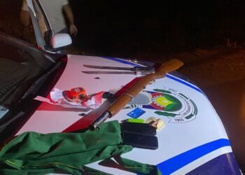 Guarda Civil Municipal divulga balanço das atividades desenvolvidas no último final de semana