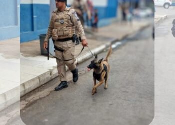 83ª CIPM realiza Operação Faro Fino