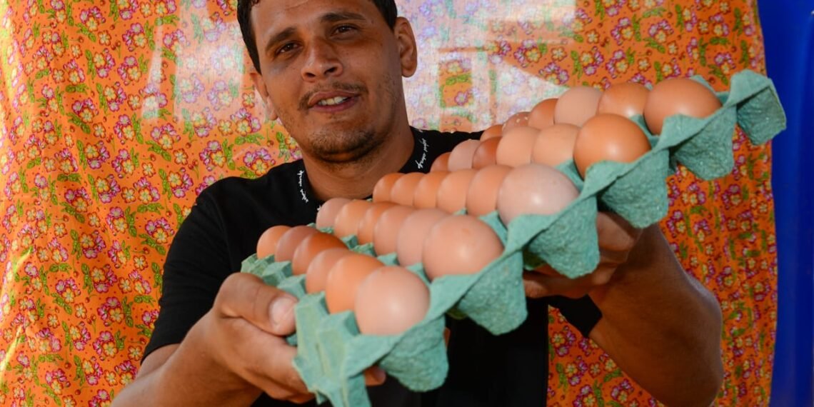 Avicultores baianos rumo à sustentabilidade: Capacitação no Semiárido Show impulsiona produção