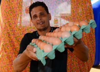 Avicultores baianos rumo à sustentabilidade: Capacitação no Semiárido Show impulsiona produção