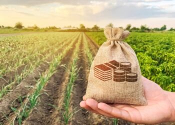 Luís Eduardo Magalhães recebe evento gratuito com palestra sobre agronegócio