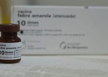 Só vacinação pode manter febre amarela longe das cidades