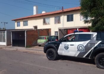 Guarda Civil Municipal divulga balanço das atividades desenvolvidas no último final de semana