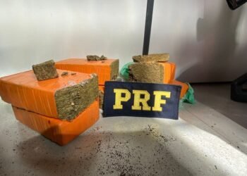 Adolescente é apreendida após ser flagrada transportando 3 Kg de maconha em ônibus