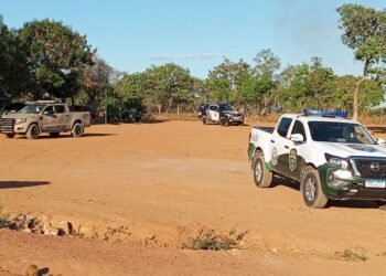 Guarda Civil Municipal divulga balanço das atividades desenvolvidas no último final de semana