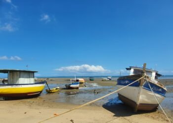 Salvador vai sediar 19º Encontro de Pescadores e Aquicultores na Bahia e o 1º Fórum Nacional da Pesca e Aquicultura