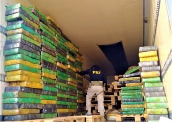 PRF apreende mais de 2 toneladas de maconha em fundo falso de caminhão frigorífico e dá prejuízo de quase 5 milhões de reais no crime organizado