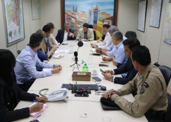 SDE se reúne com a BYD para alinhamento de ações