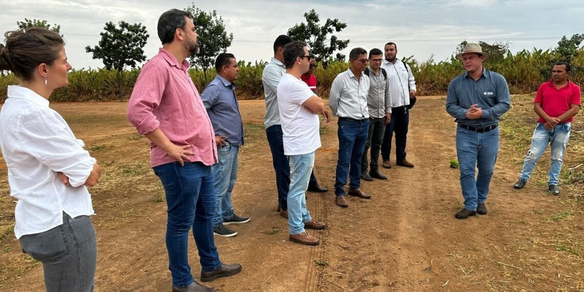 Importantes empresas do segmento agropecuário e personalidades políticas visitam o Projeto DNR em São José do Rio Grande