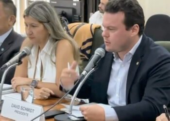 Liderança barreirense defende a inovação agro digital em reunião no Ministério da Agricultura e Pecuária