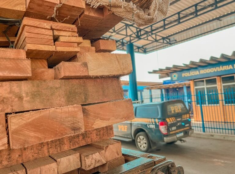 PRF apreende caminhão com carga de madeira nativa em situação irregular na BR-242