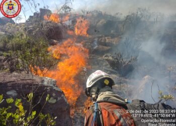 Cerca de 200 bombeiros militares atuam no combate a incêndios florestais no interior da Bahia