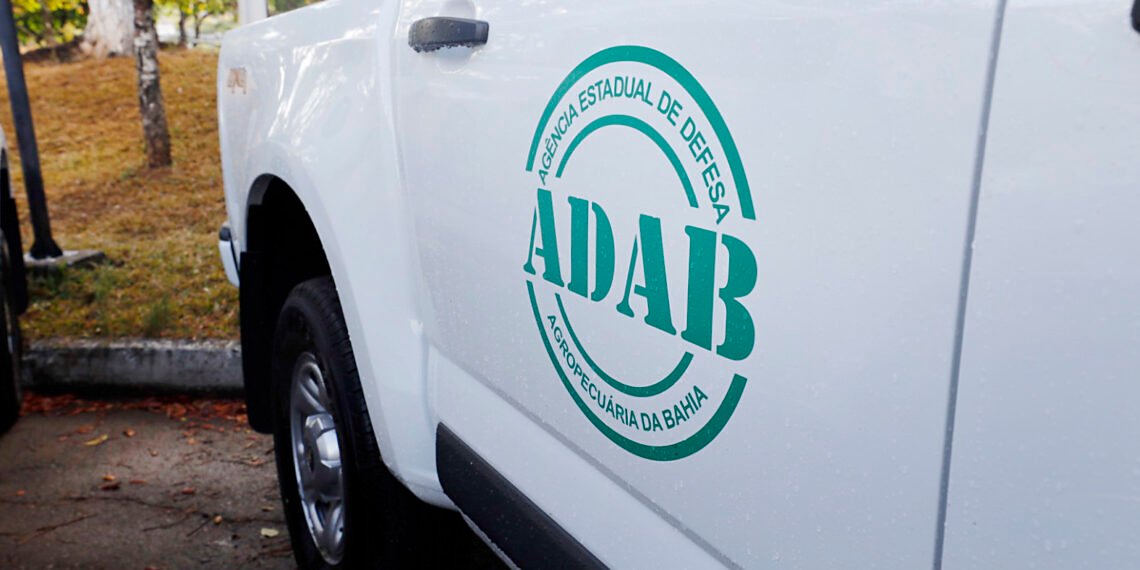 Fundação Getúlio Vargas é a organizadora do concurso da ADAB