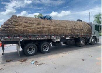 PRF retém carga de melancia sem nota fiscal em Barreiras (BA)