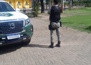 A Guarda Civil Municipal emite balanço das atividades desenvolvidas durante a última semana de 2023 e a primeira semana de 2024.