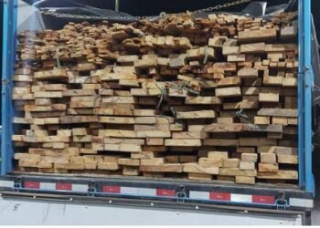 Em Barreiras (BA), PRF apreende madeira nativa do Pará transportada ilegalmente