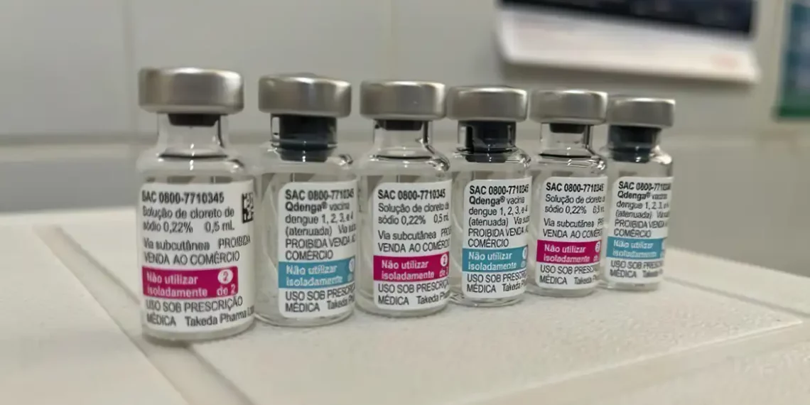 Vacinação contra dengue vai priorizar faixa etária de 6 a 16 anos