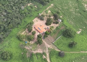 Polícia Federal faz operação contra tráfico de drogas e lavagem de dinheiro no Oeste da Bahia