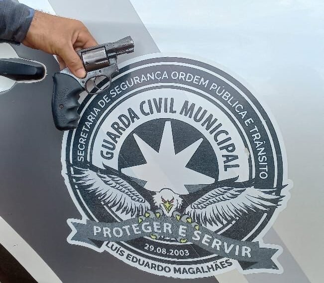 A Guarda Civil Municipal emite balanço das atividades desenvolvidas na última semana.