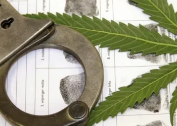 CCJ aprova PEC que criminaliza posse de qualquer quantidade de droga