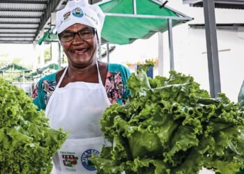 Garantia-Safra autoriza pagamento para mais de 216 mil agricultores familiares baianos