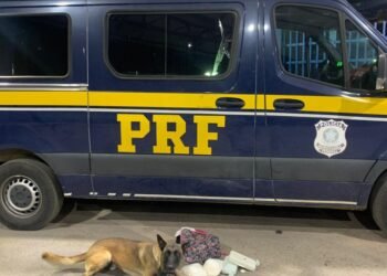 Cão farejador da PRF encontra cocaína no interior de bagagem em Barreiras (BA)