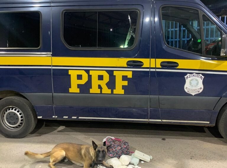 Cão farejador da PRF encontra cocaína no interior de bagagem em Barreiras (BA)