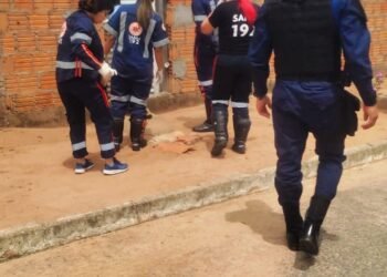 A Guarda Civil Municipal emite balanço das atividades desenvolvidas entre 01 a 07 de abril de 2024.