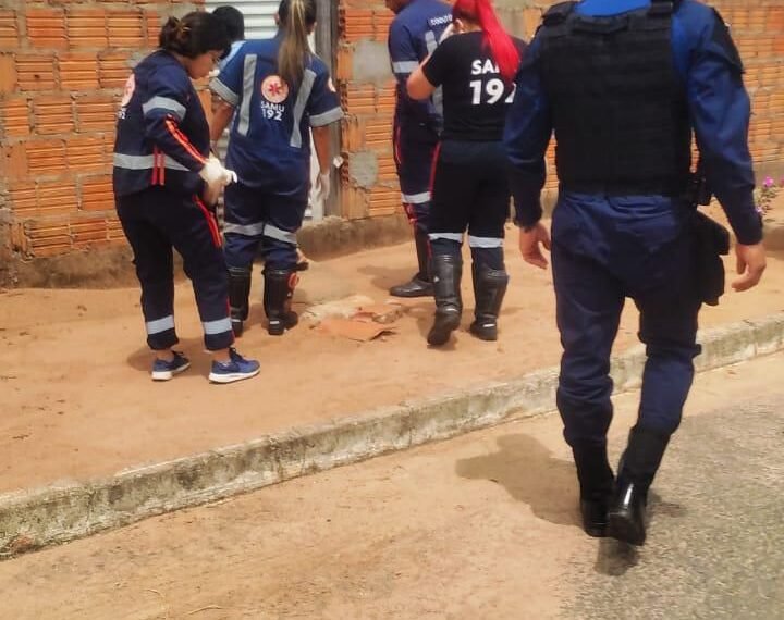 A Guarda Civil Municipal emite balanço das atividades desenvolvidas entre 01 a 07 de abril de 2024.