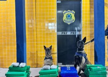 Tráfico de drogas: PRF apreende mais de 50kg de entorpecentes no oeste baiano