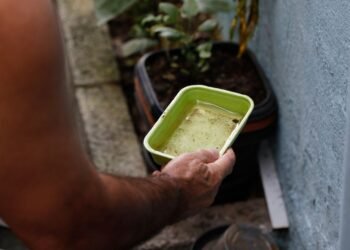 Bahia tem 265 municípios em epidemia de Dengue