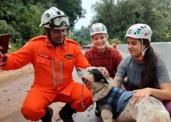 Bombeiros baianos já resgataram mais de 160 vítimas das chuvas em diferentes regiões do Rio Grande do Sul