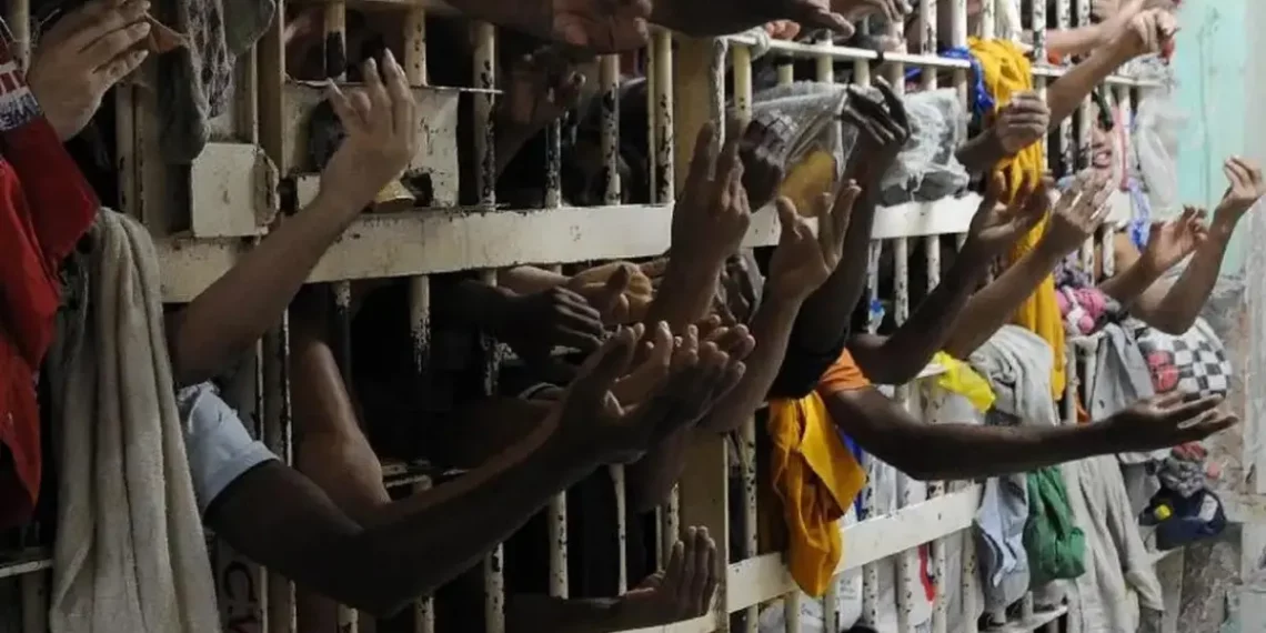 Projeto recomenda castração química voluntária para reincidentes de crimes sexuais