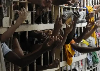 Projeto recomenda castração química voluntária para reincidentes de crimes sexuais