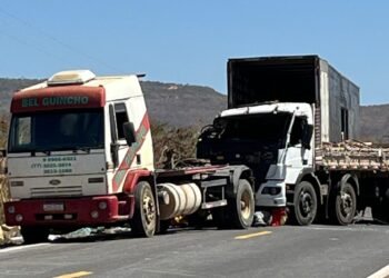 Caminhão Tombado Bloqueia Trânsito na BR-135