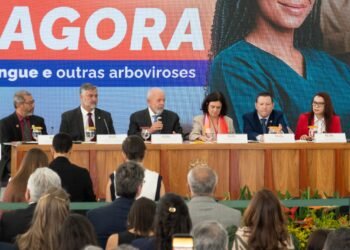 Novo plano de ação prevê reduzir impactos da dengue e outras arboviroses no Brasil